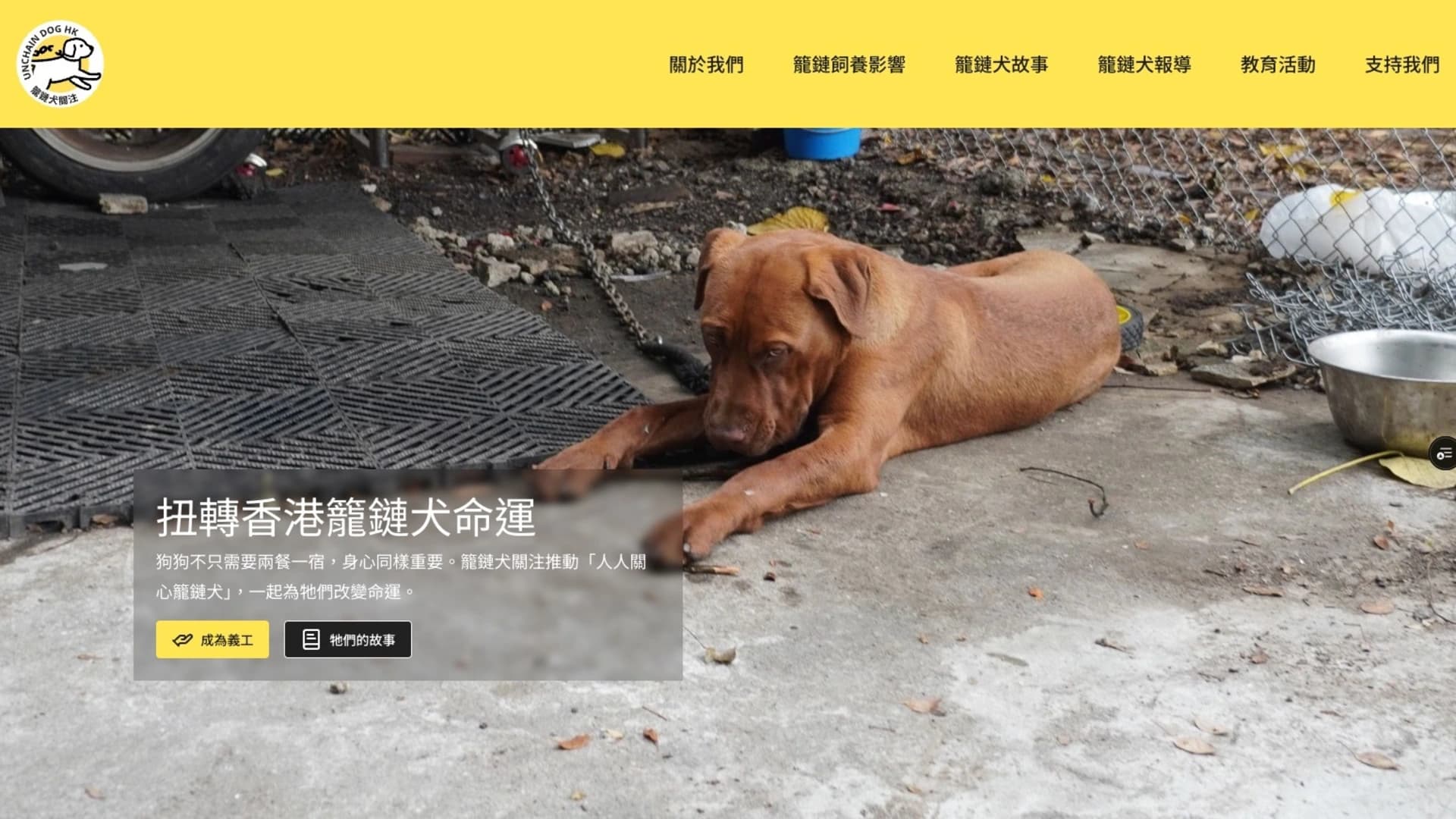 Unchain Dog HK